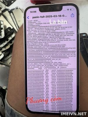 Log panic: 13mini