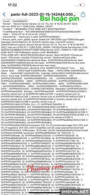Log panic: bsi,pin