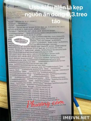 Log panic: usb