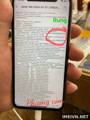 Log panic: audio,rung